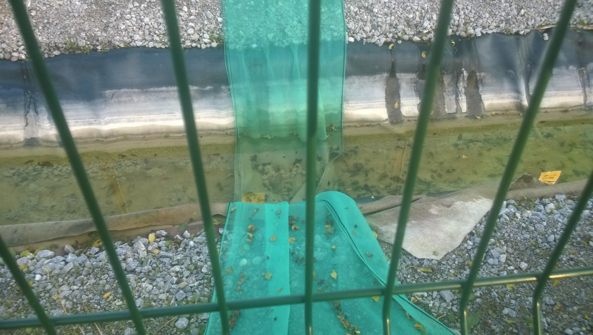 The perimeter ditch at Rathlin Energy's West Newton drill site