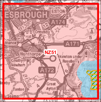 NZ51