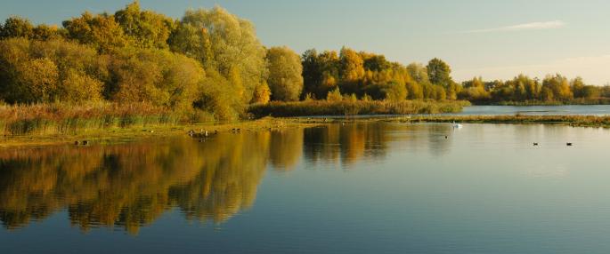 Whisby Nature Park included in a new oil and gas licence block. Picture by The Wildlfe Trusts