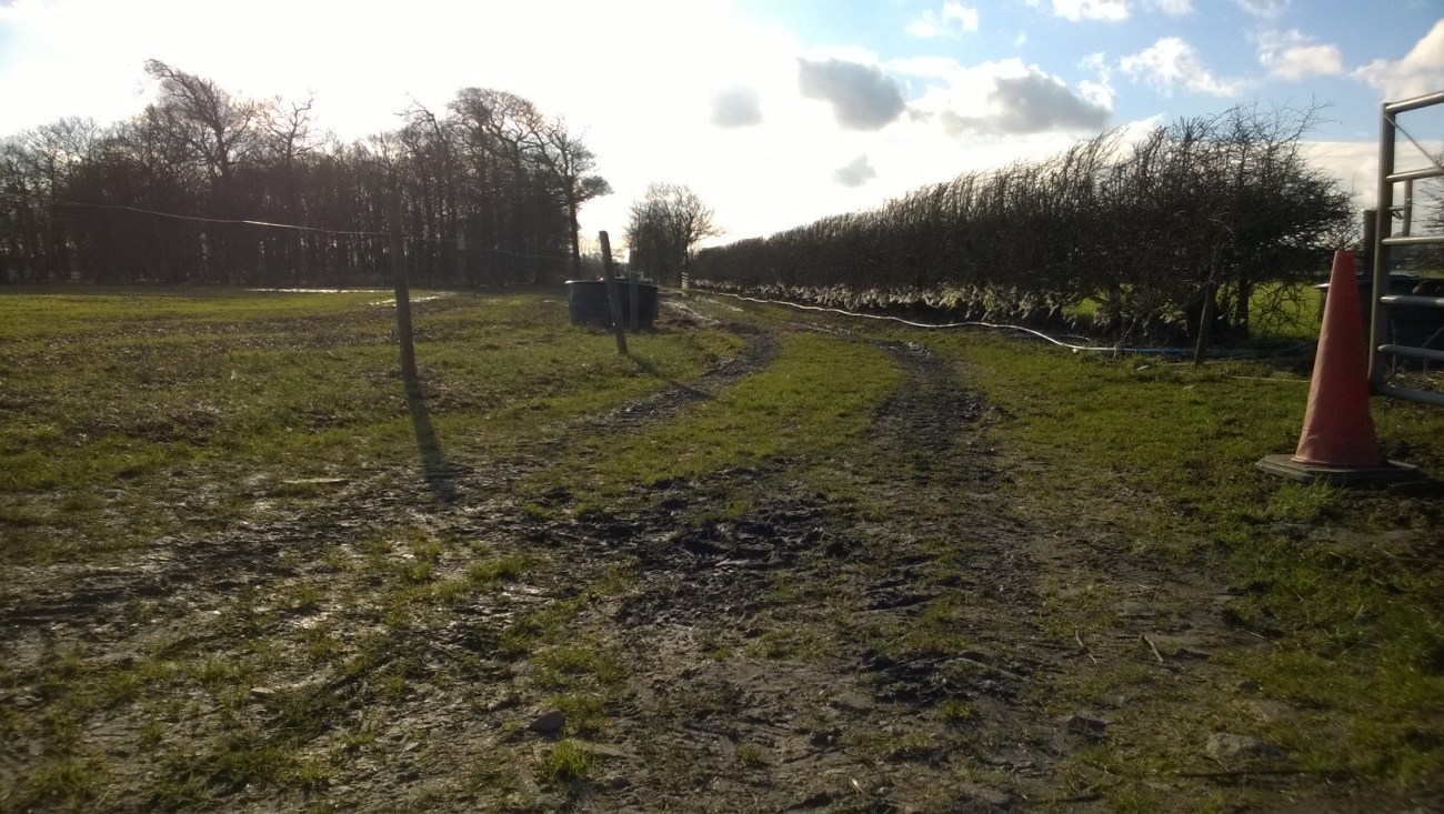 Entrance to Roseacre Wood