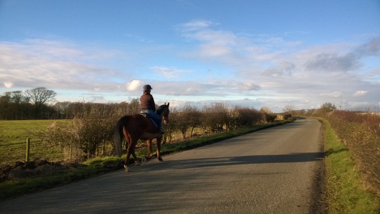 Horse rider on Roseacre Road