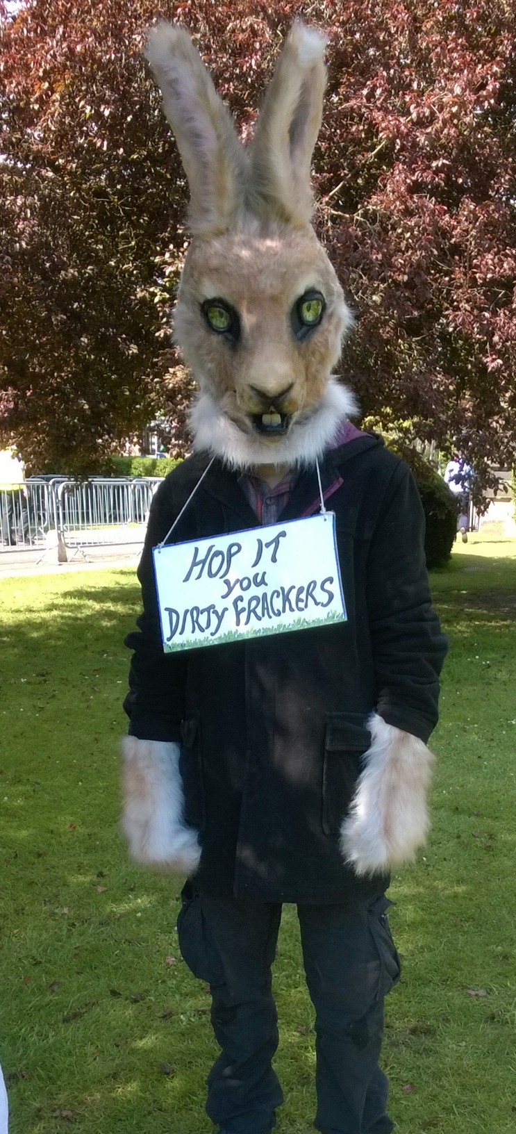 Third Energy NYCC decision rabbit