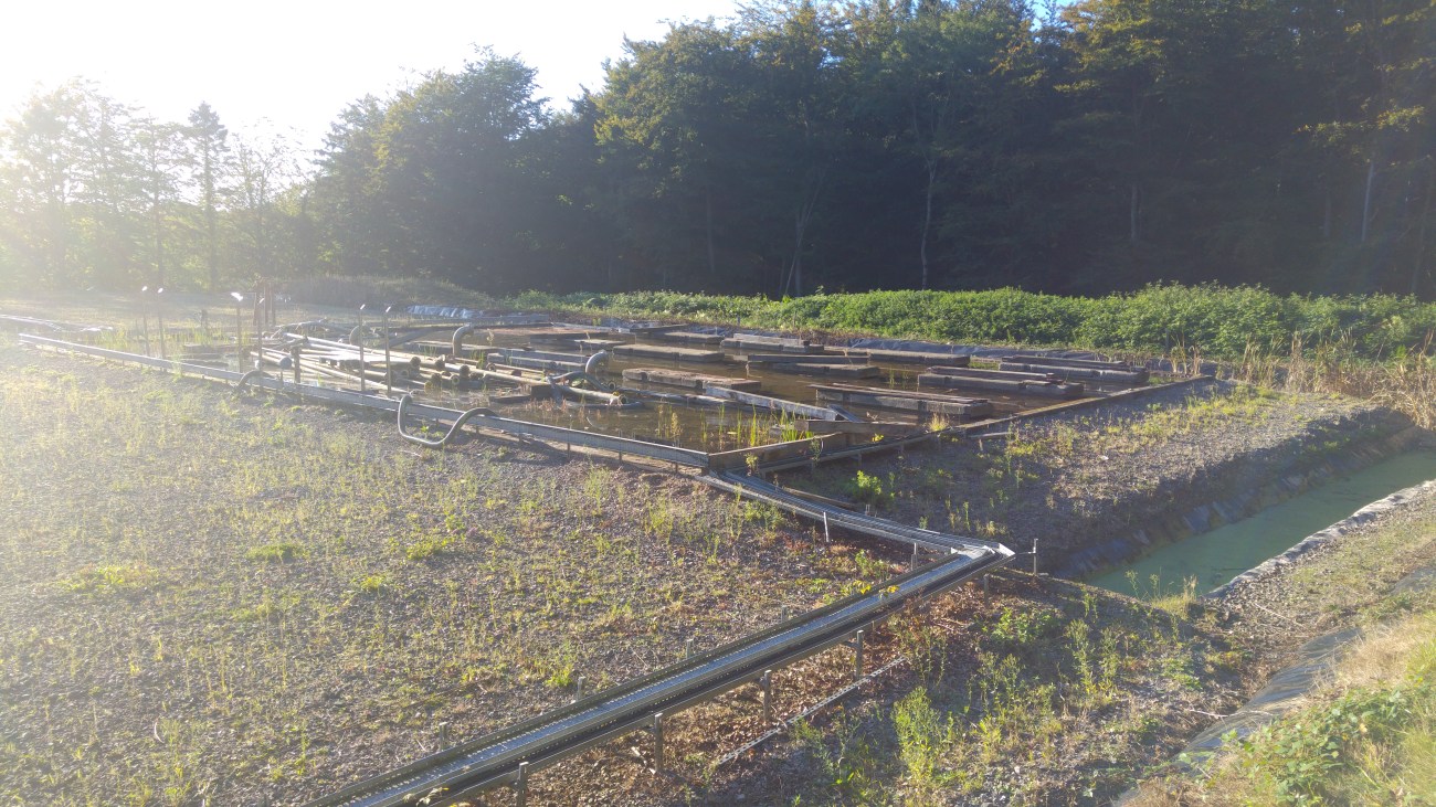 20161003_165000_burst03