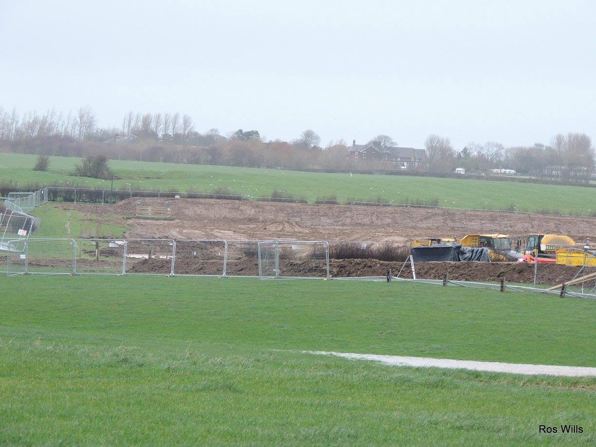 pnr-170223-ros-wills3