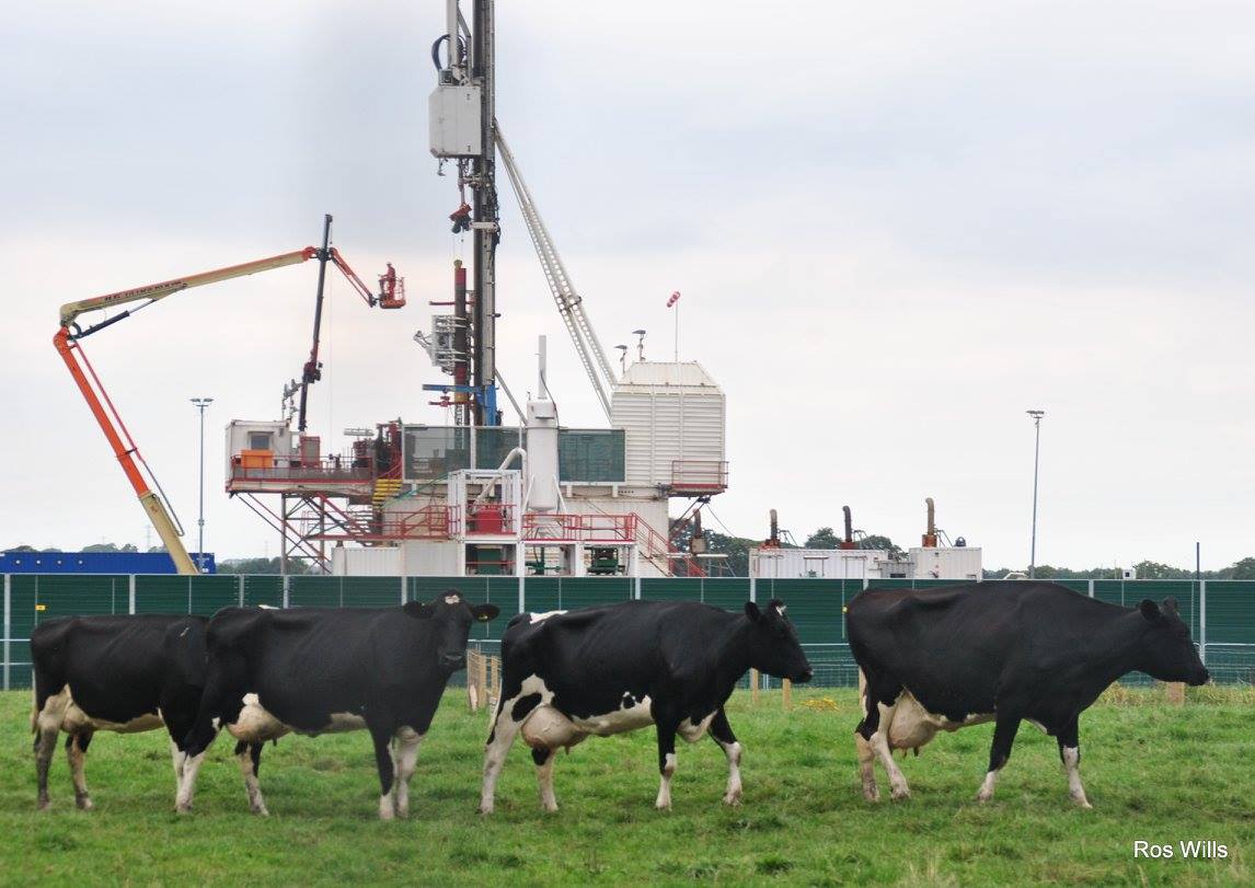 pnr 170822 Ros Wills5