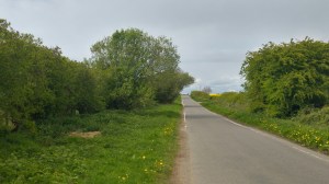 Bramleymoor Lane 170426 DoD
