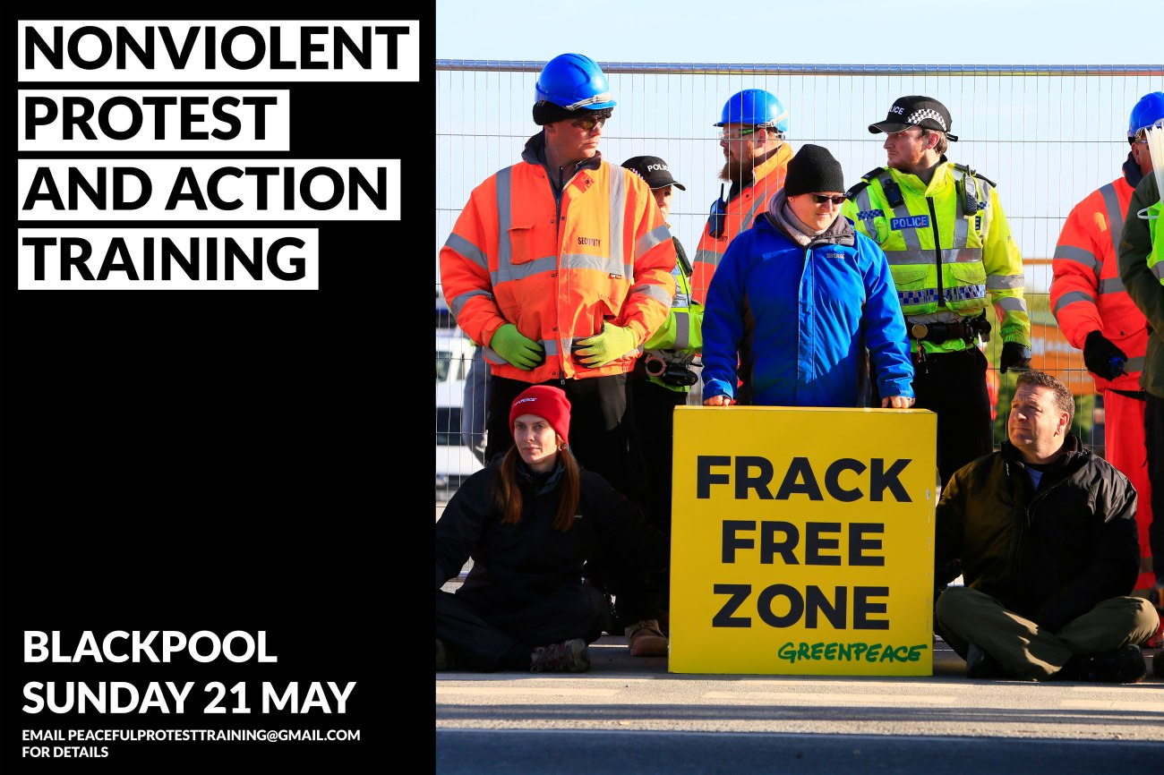 direct action training image