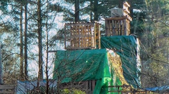 Bury Hill Wood gathering 170204 Fil Jackson 4