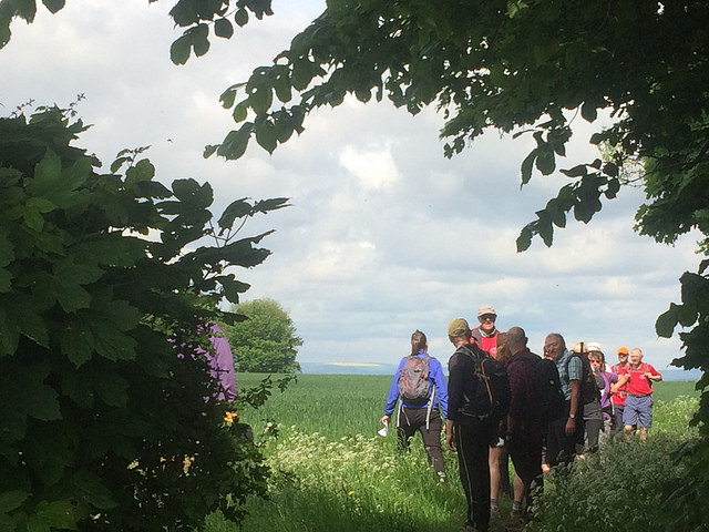 Land at Common Road Harthill Against Fracking