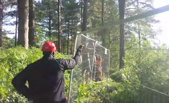 Leith Hill eviction 170621 Danny Vc Llew1