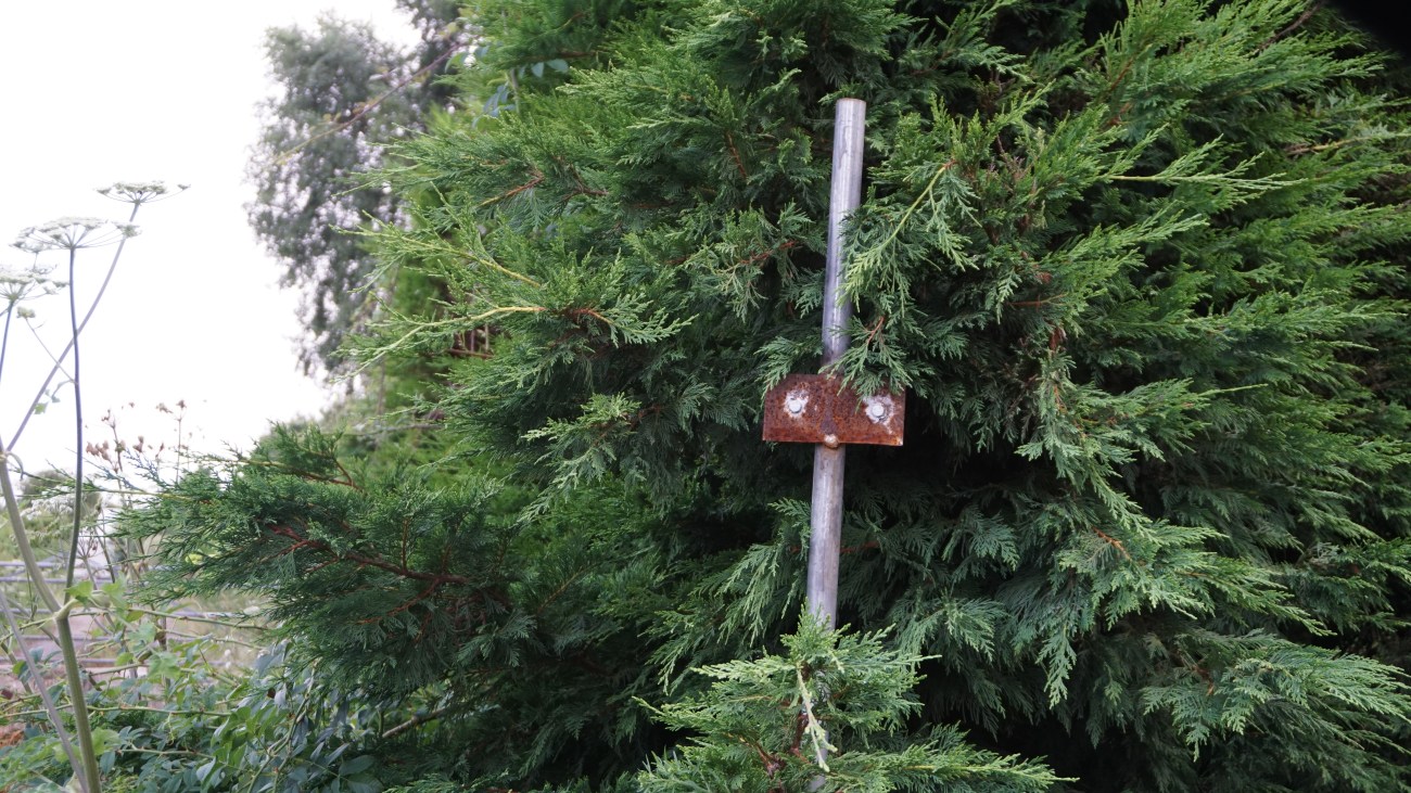 Missing Lidsey Notice Weald Oil Watch