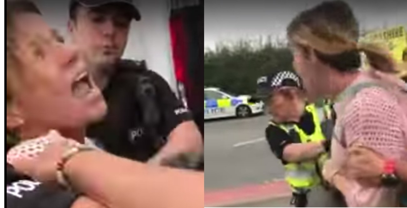 Louise Robinson arrest 3