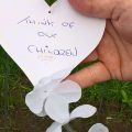 170906 pnr women’s day Roseacre AWareness Group 2