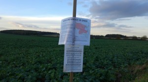 171025 Woodsetts site