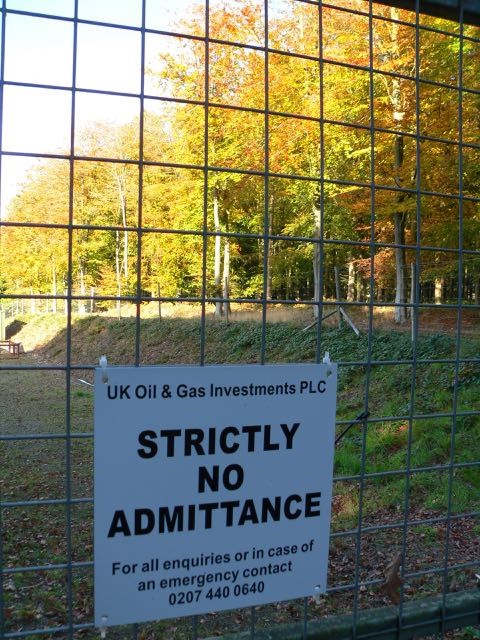 Markwells Wood 5 Ann Stewart