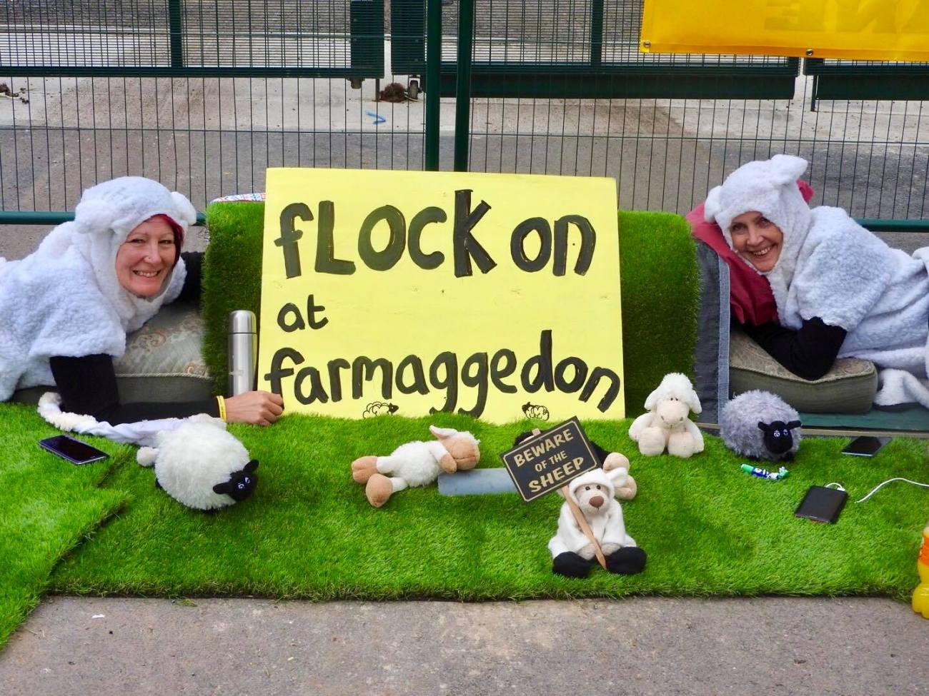 180612 Tinker Lane Julie Field2