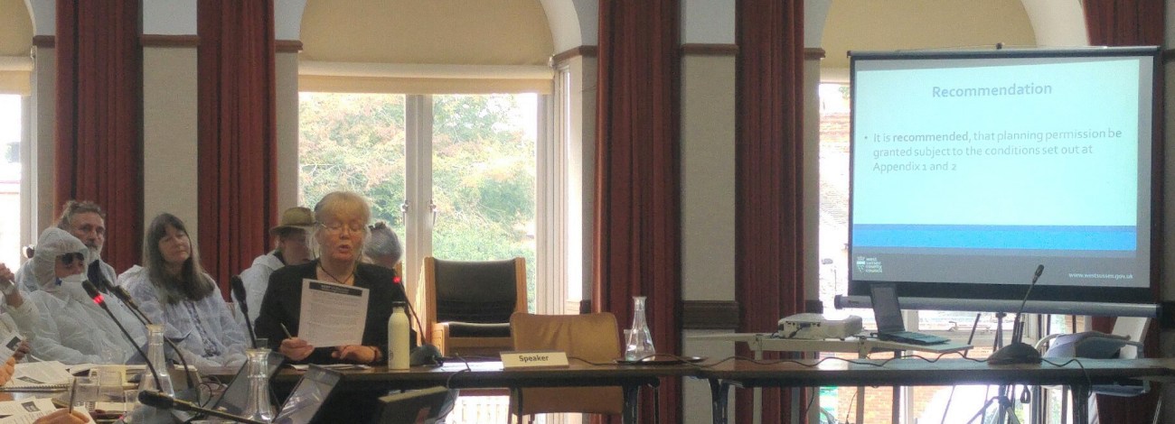 180911 WSCC on Broadford Bridge Jill Sutcliffe 4