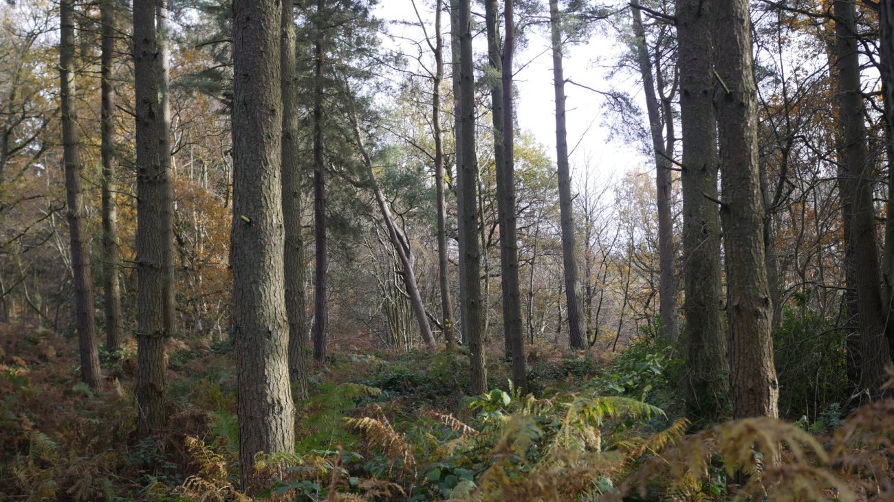 BHW John O'Houston16