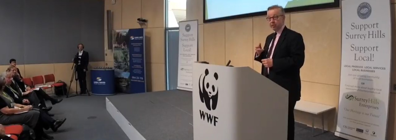 MichaelGoveSurreyHills