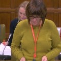 Karen Lee 181031 parliament live tv