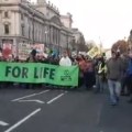 181117 London protest Eddie Thornton6