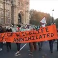 181117 London protest Eddie Thornton7