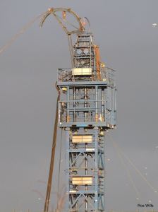 pnr 181128 Ros Wills 1