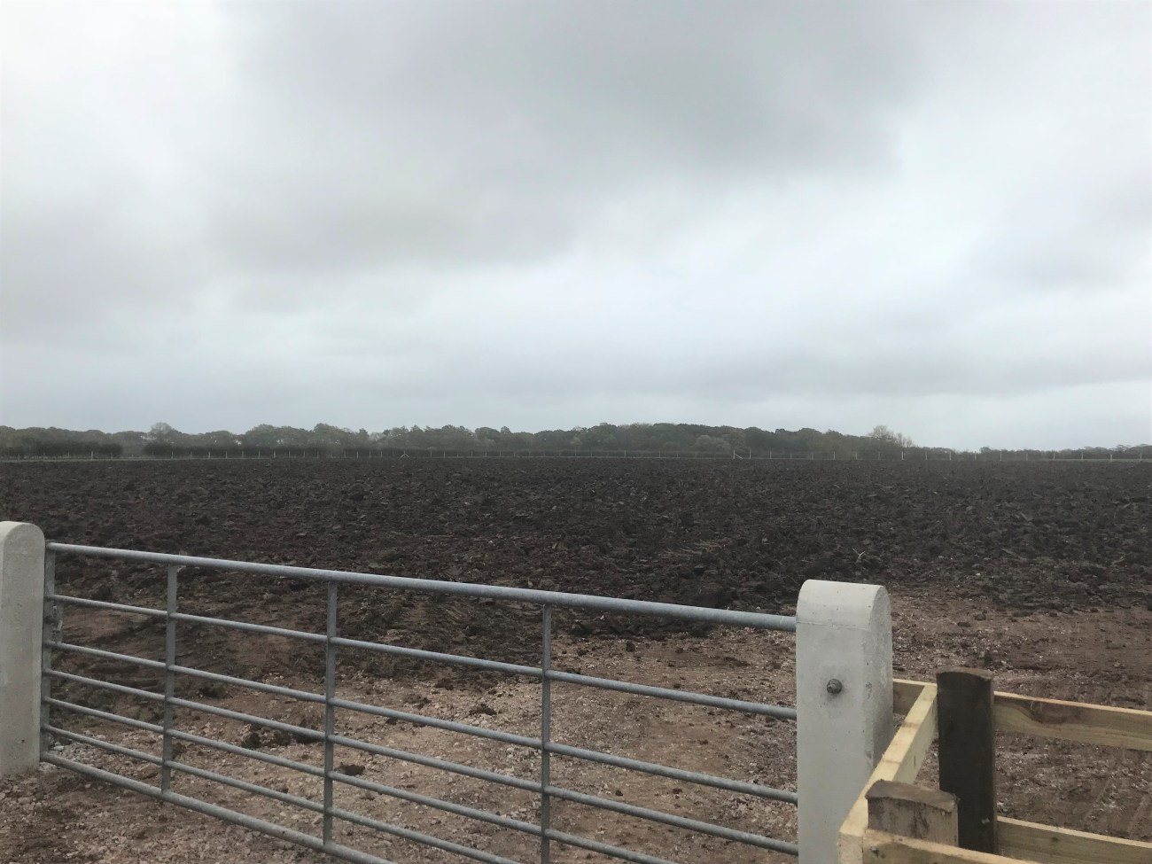 Grange Hill Cuadrilla