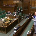 190328 Geraint Davies Parliament tv