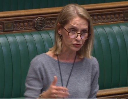 190328 Wera Hobhouse Parliament TV3