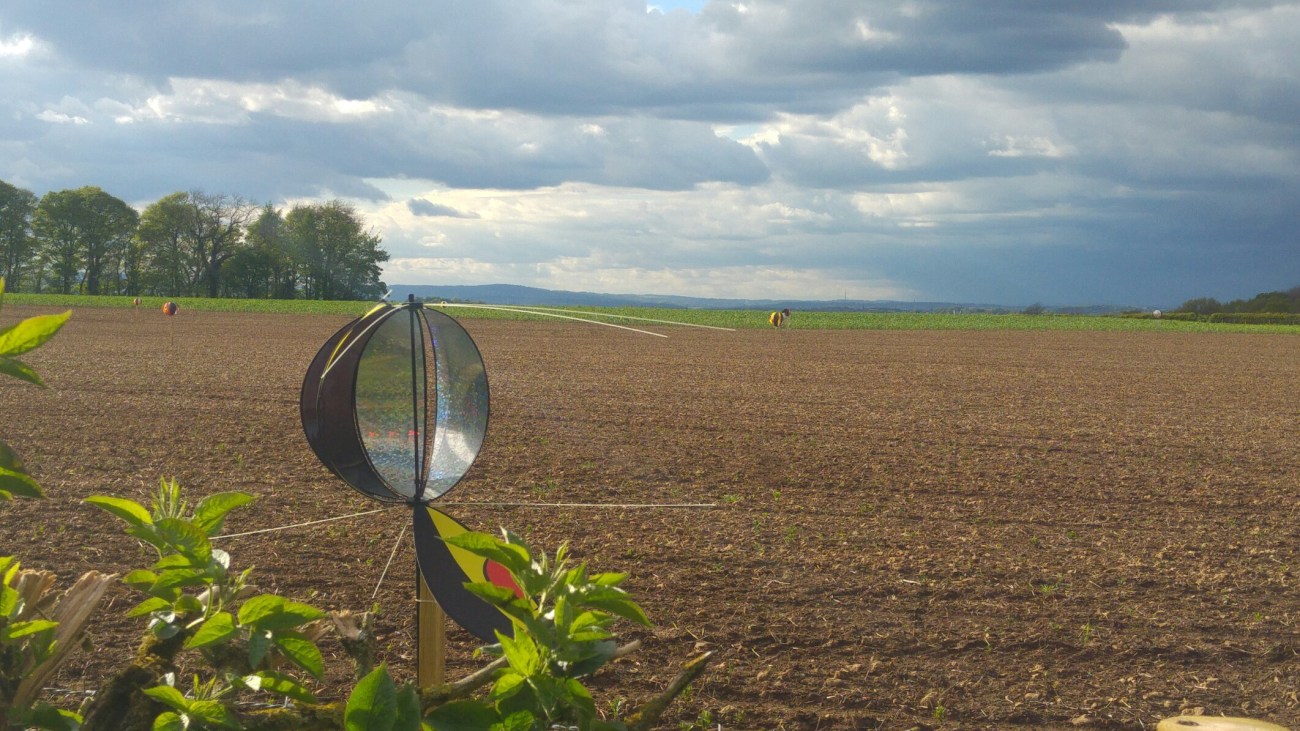 190502 Harthill Dod3