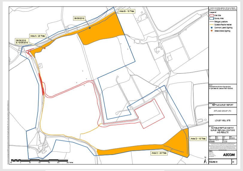 Map of reptile survey UKOG