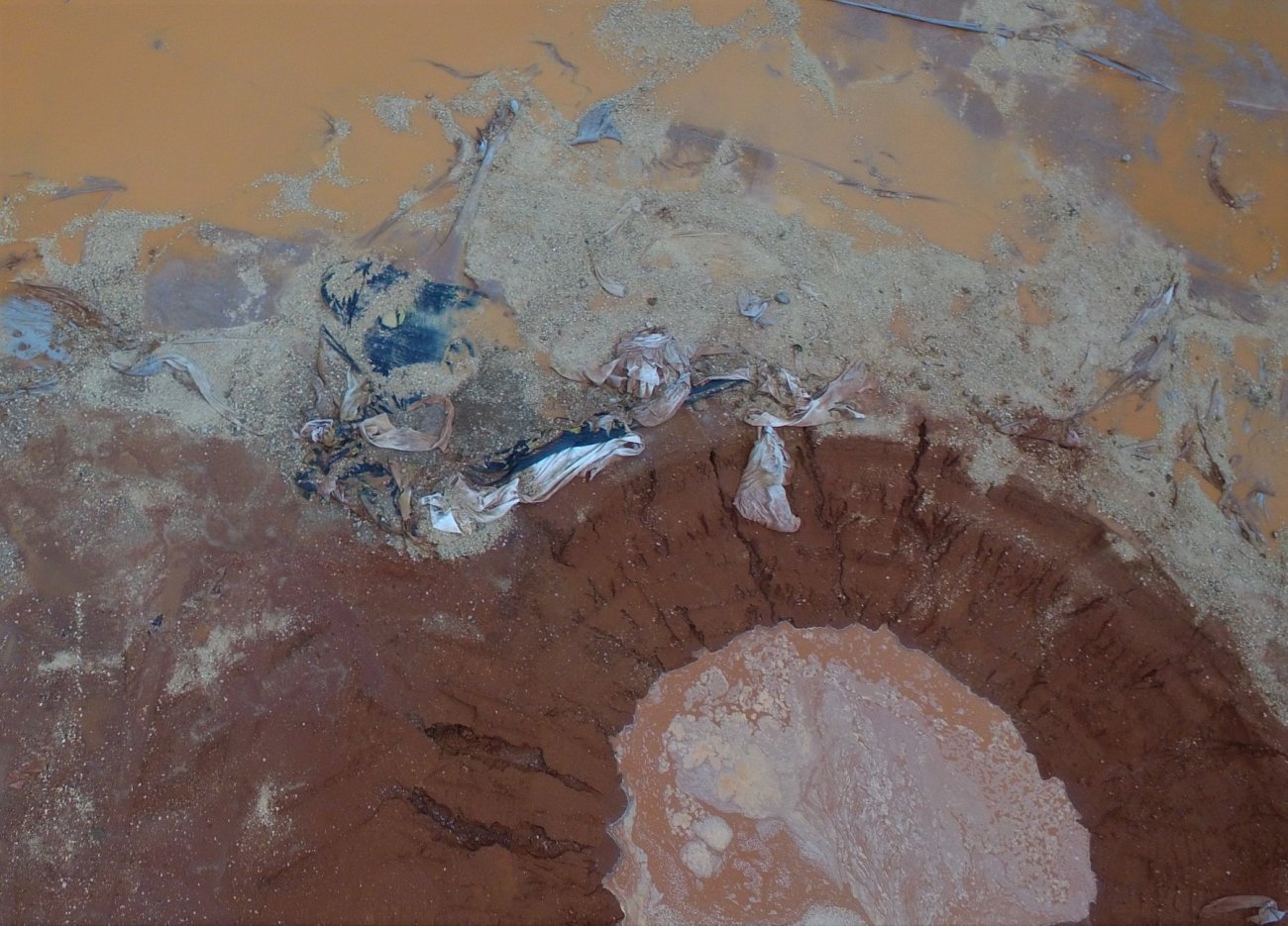 190731 Tinker Lane Eric Walton 2