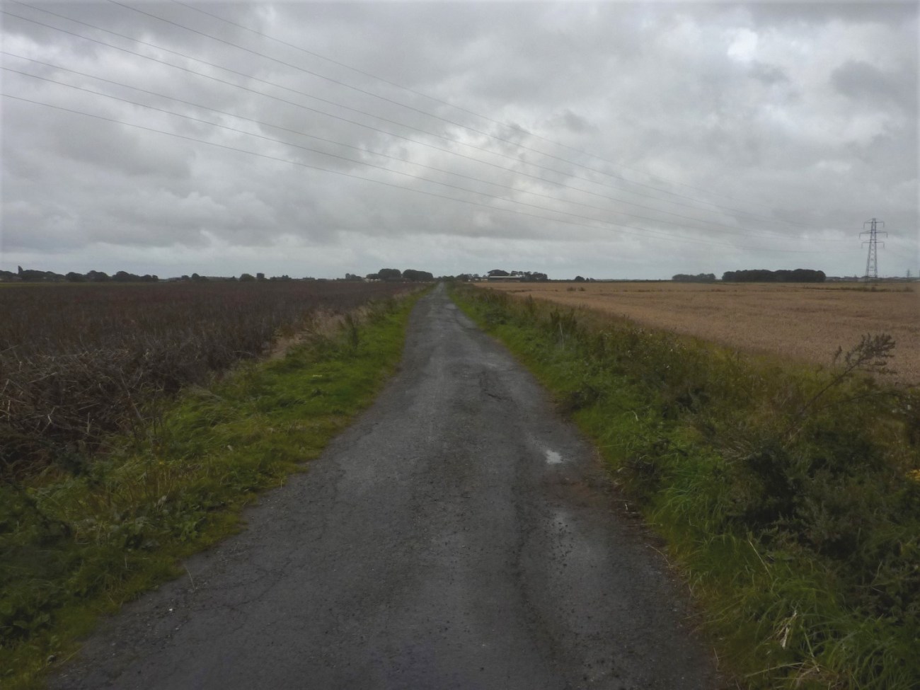 190906 Altcar Moss access