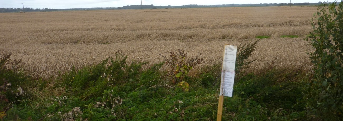 190906 Altcar Moss site slider
