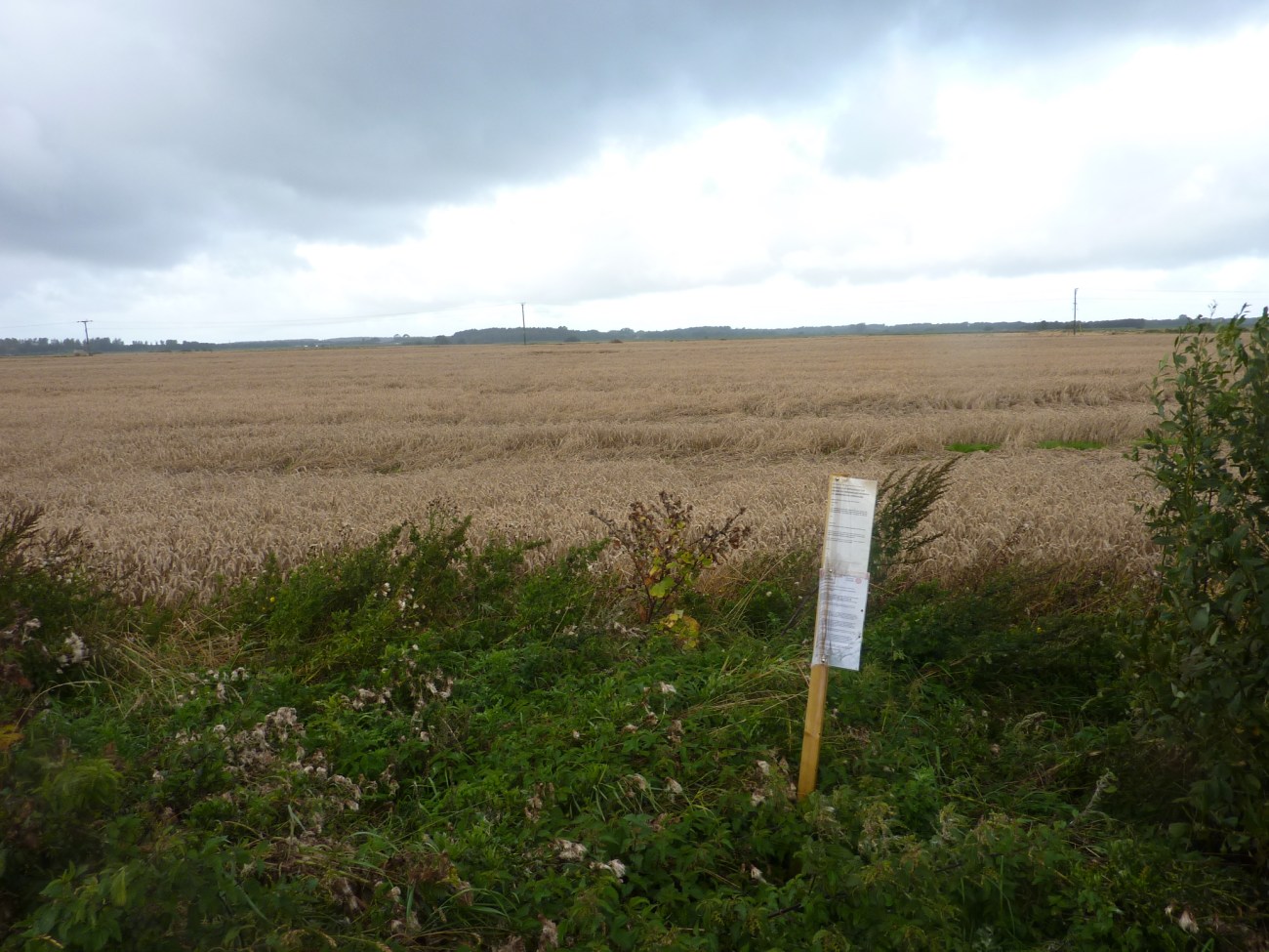190906 Altcar Moss site