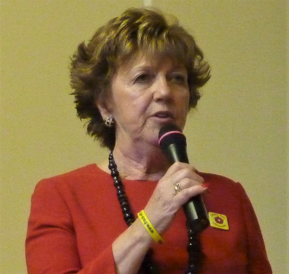 190906 Moss Meeting Maureen Mills