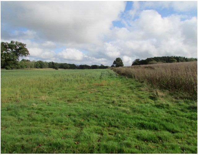 200513 Dunsfold proposed access SCC