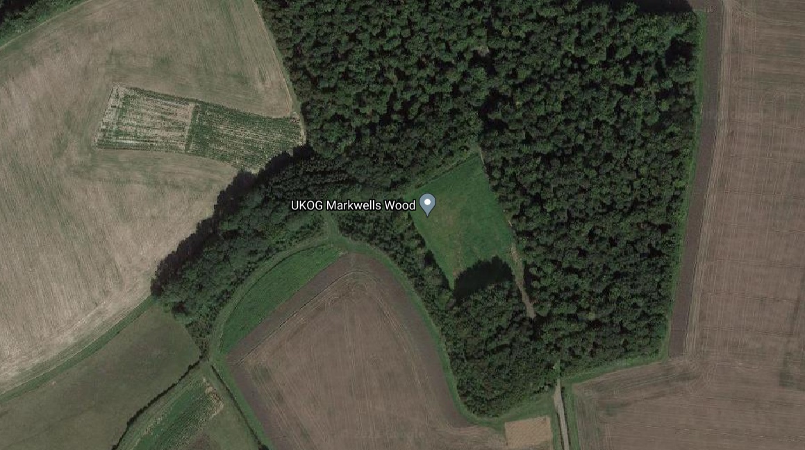 211005-markwells-wood